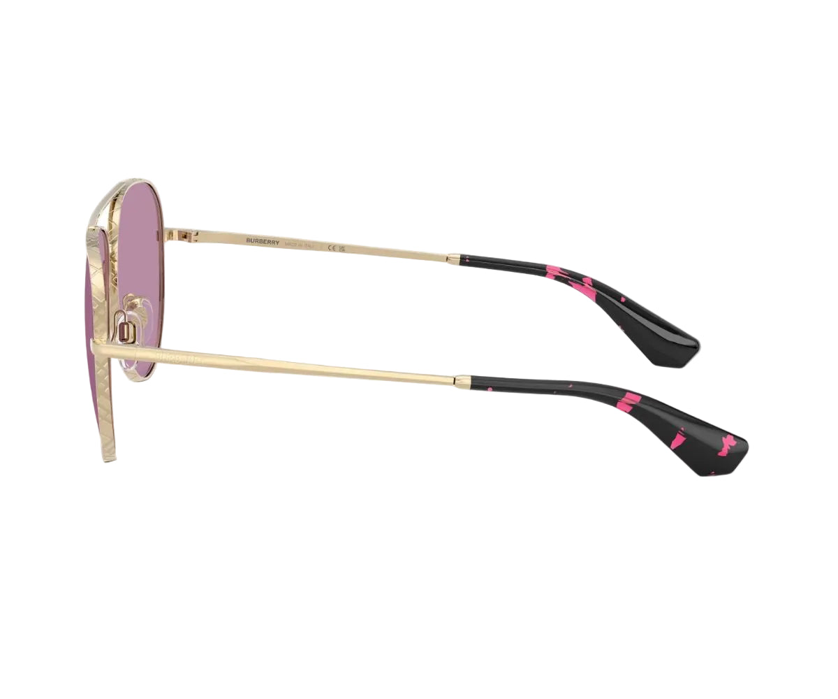 Burberry_Sunglasses_3172_1109/69_59_90