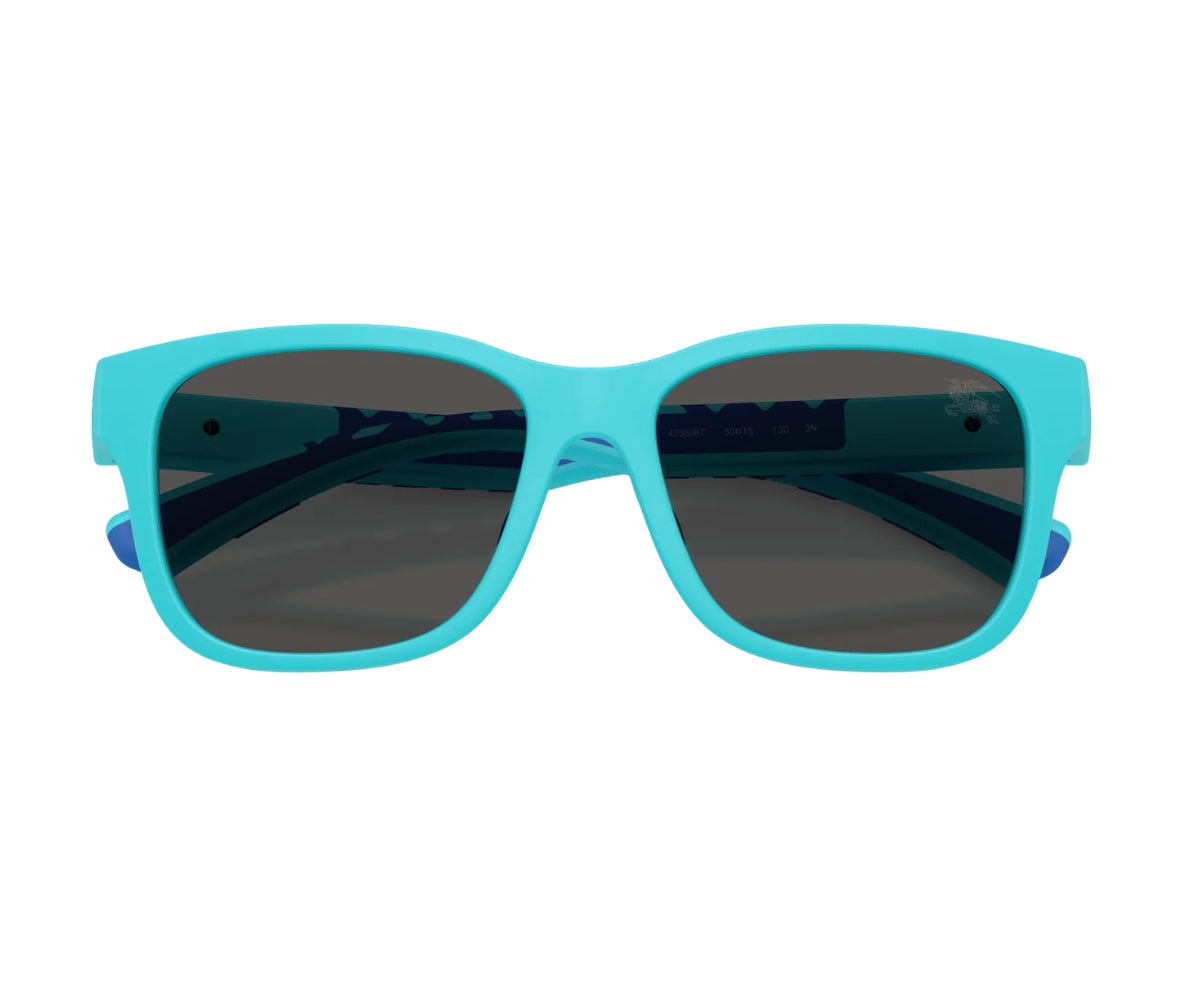 Burberry_Sunglasses_4007U_4235/87_50_0