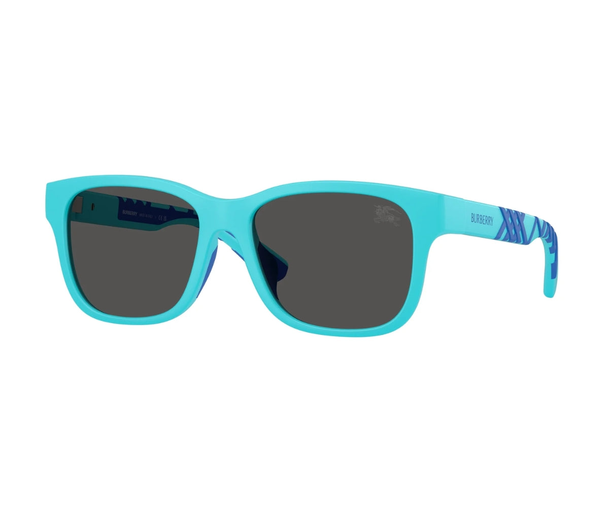 Burberry_Sunglasses_4007U_4235/87_50_3045