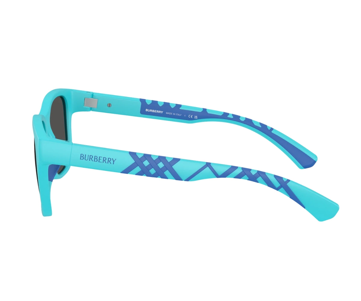 Burberry_Sunglasses_4007U_4235/87_50_90