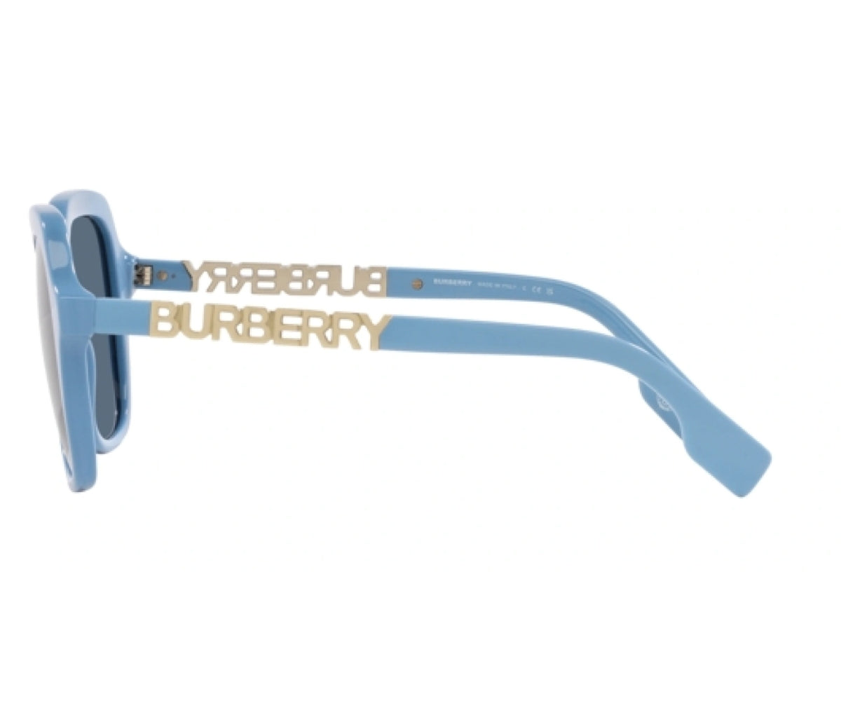 Burberry_Sunglasses_4389_4062/80_55_90