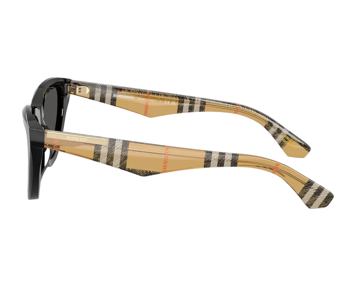 Burberry_Sunglasses_4436U_4188/87_55_90
