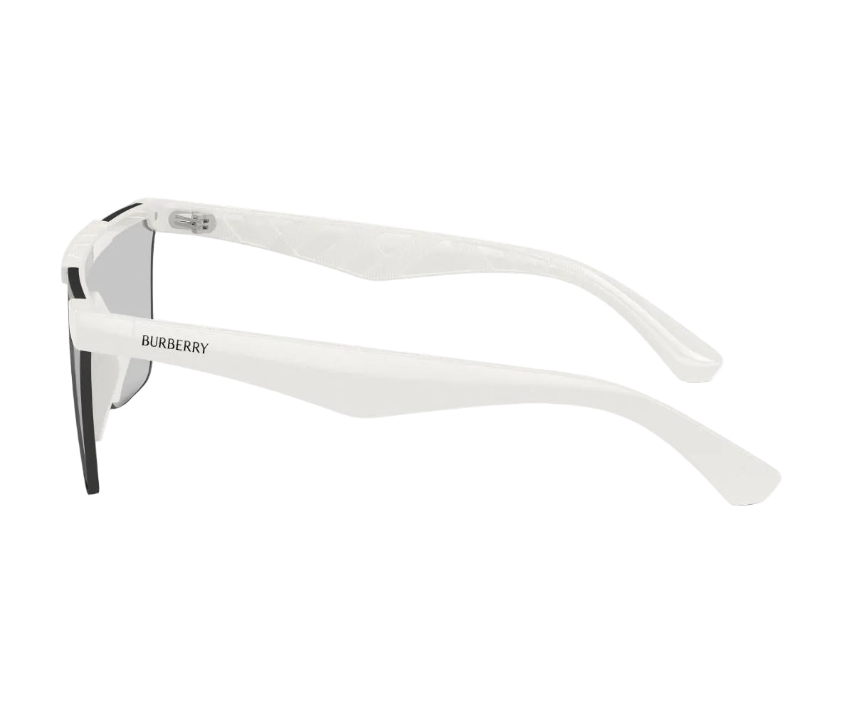 Burberry_Sunglasses_4480D_4172/69_41_90