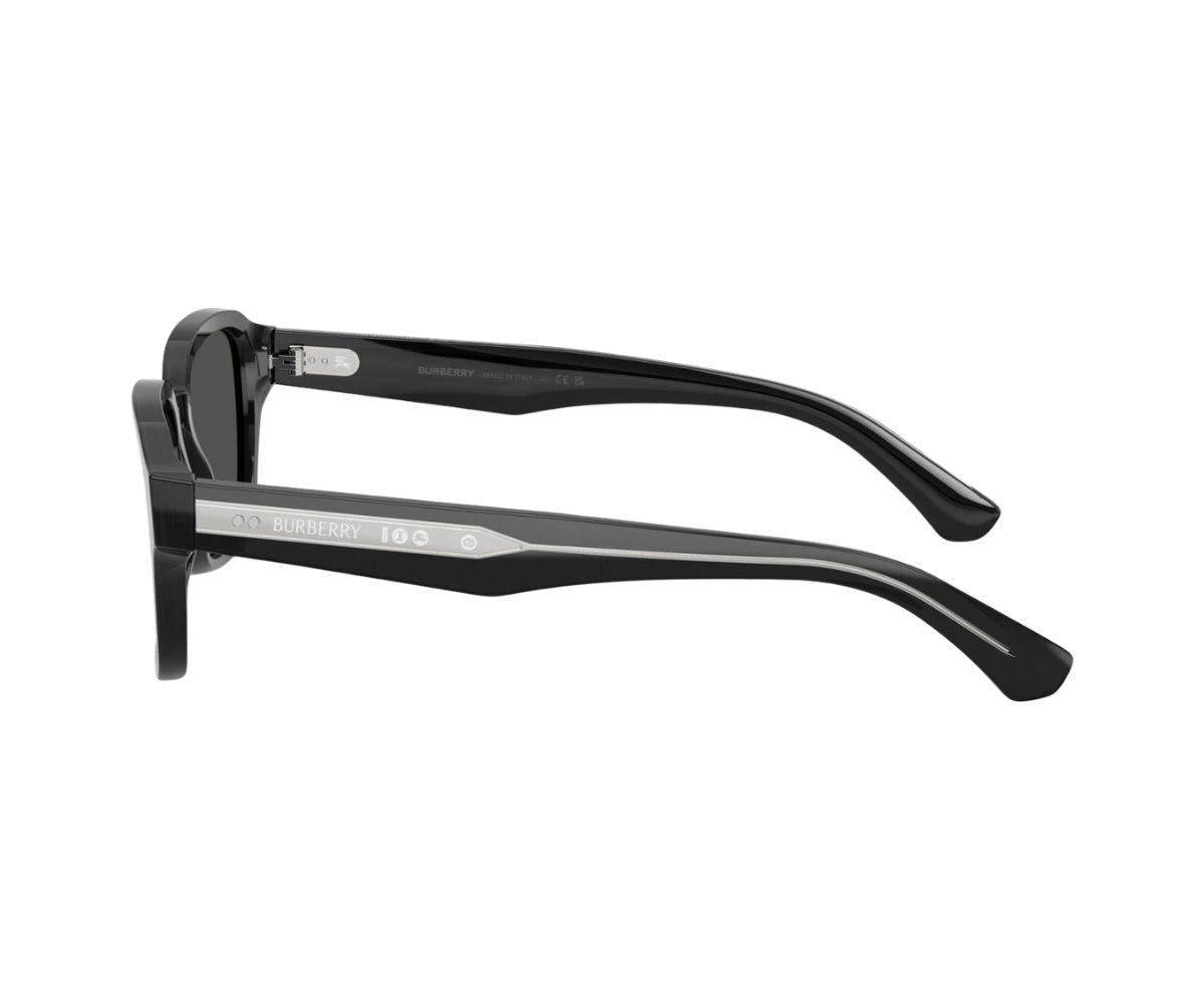 Burberry_Sunglasses_4484_4211/87_53_90