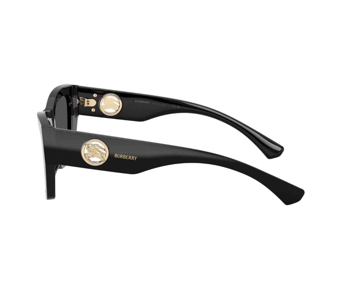 Burberry_Sunglasses_4492_3001/87_54_90