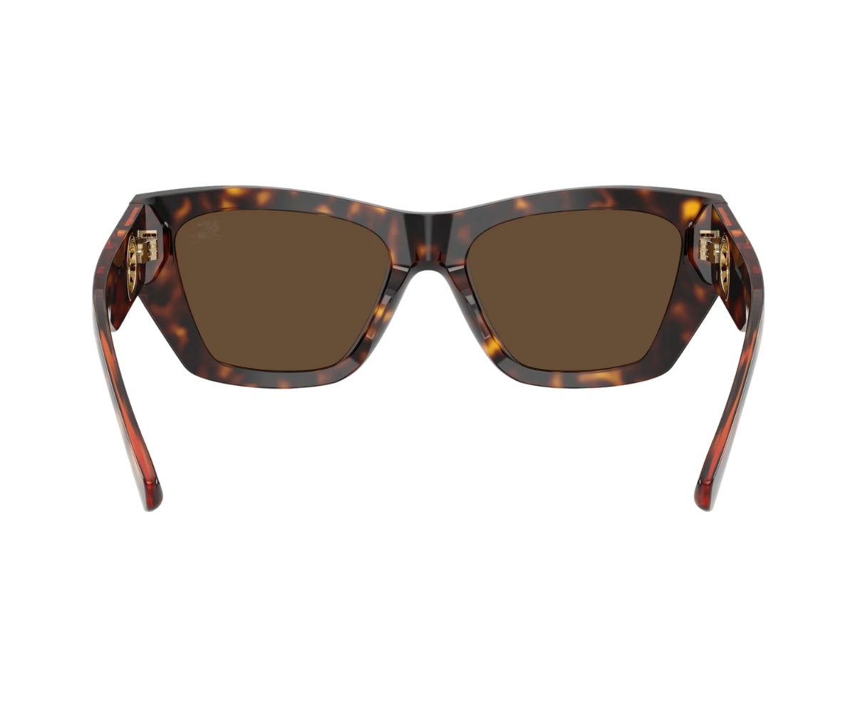 Burberry_Sunglasses_4492_3002/73_54_back lens