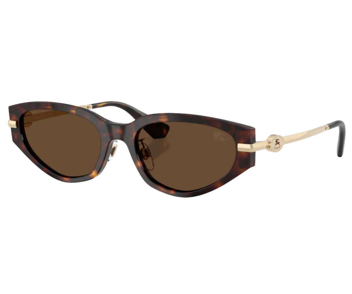 Burberry_Sunglasses_BE4493D_3002/73_56_45