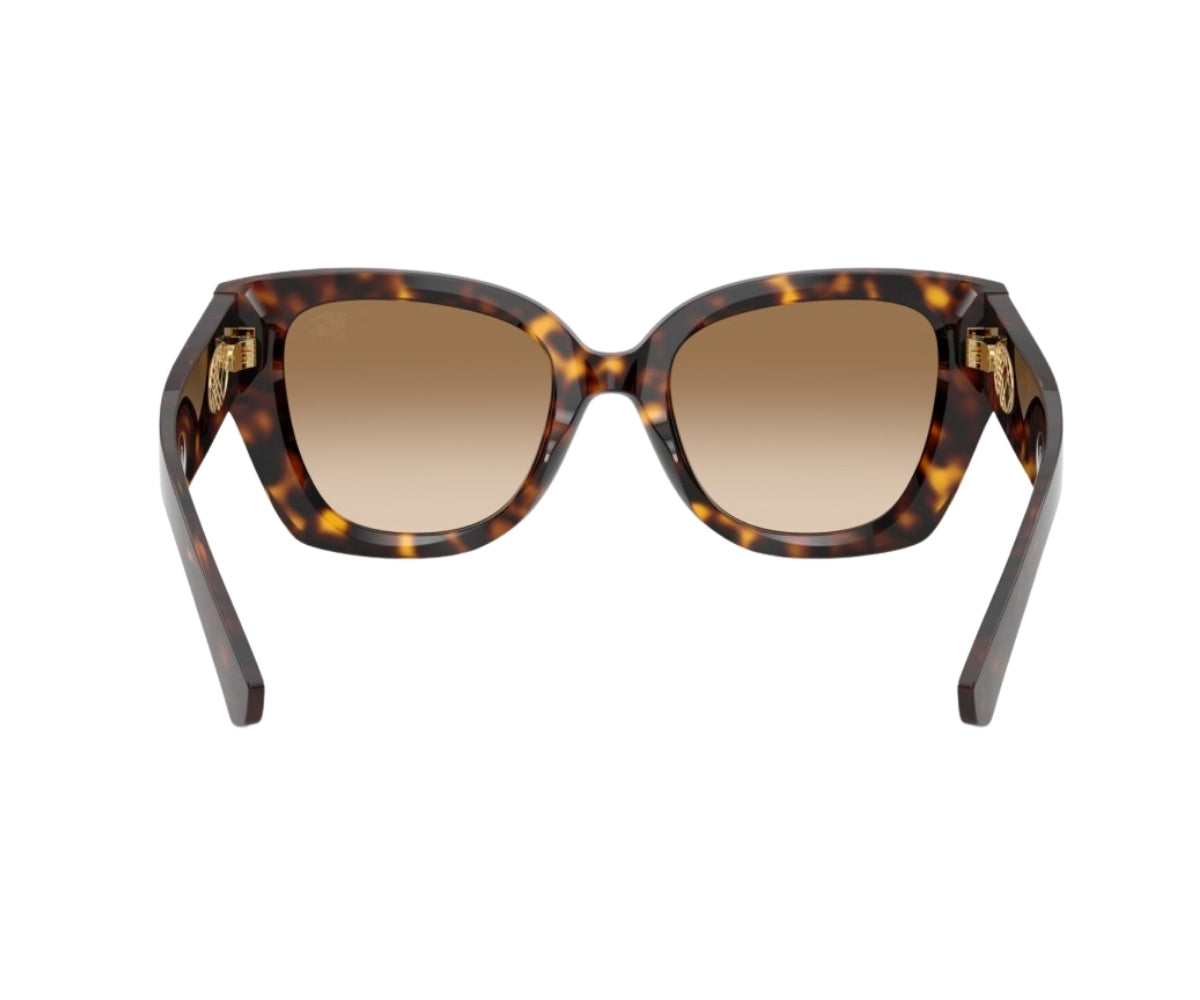 Burberry_Sunglasses_BE4503_3002/89_50_back lens