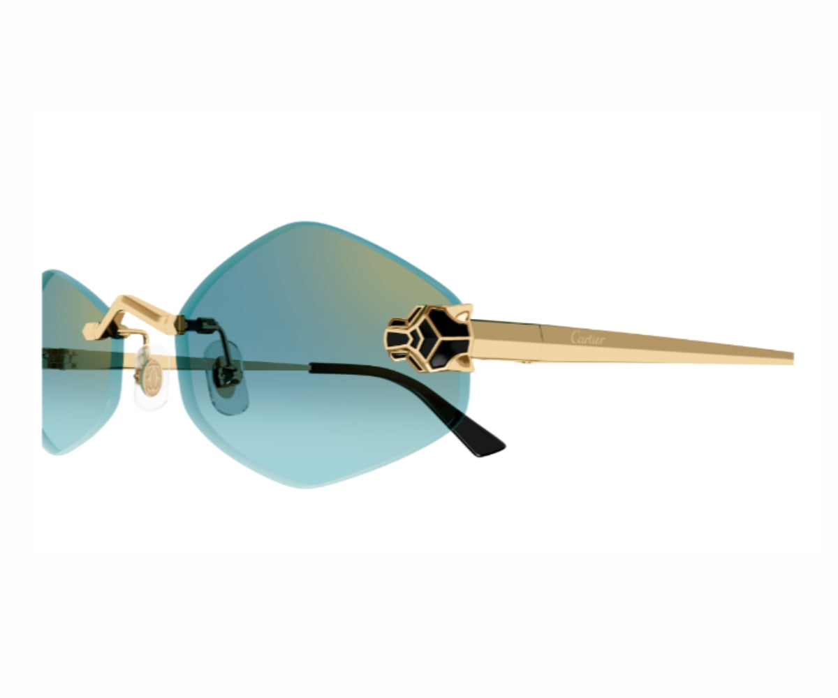 Cartier_Sunglasses_0433S_003_55_close up