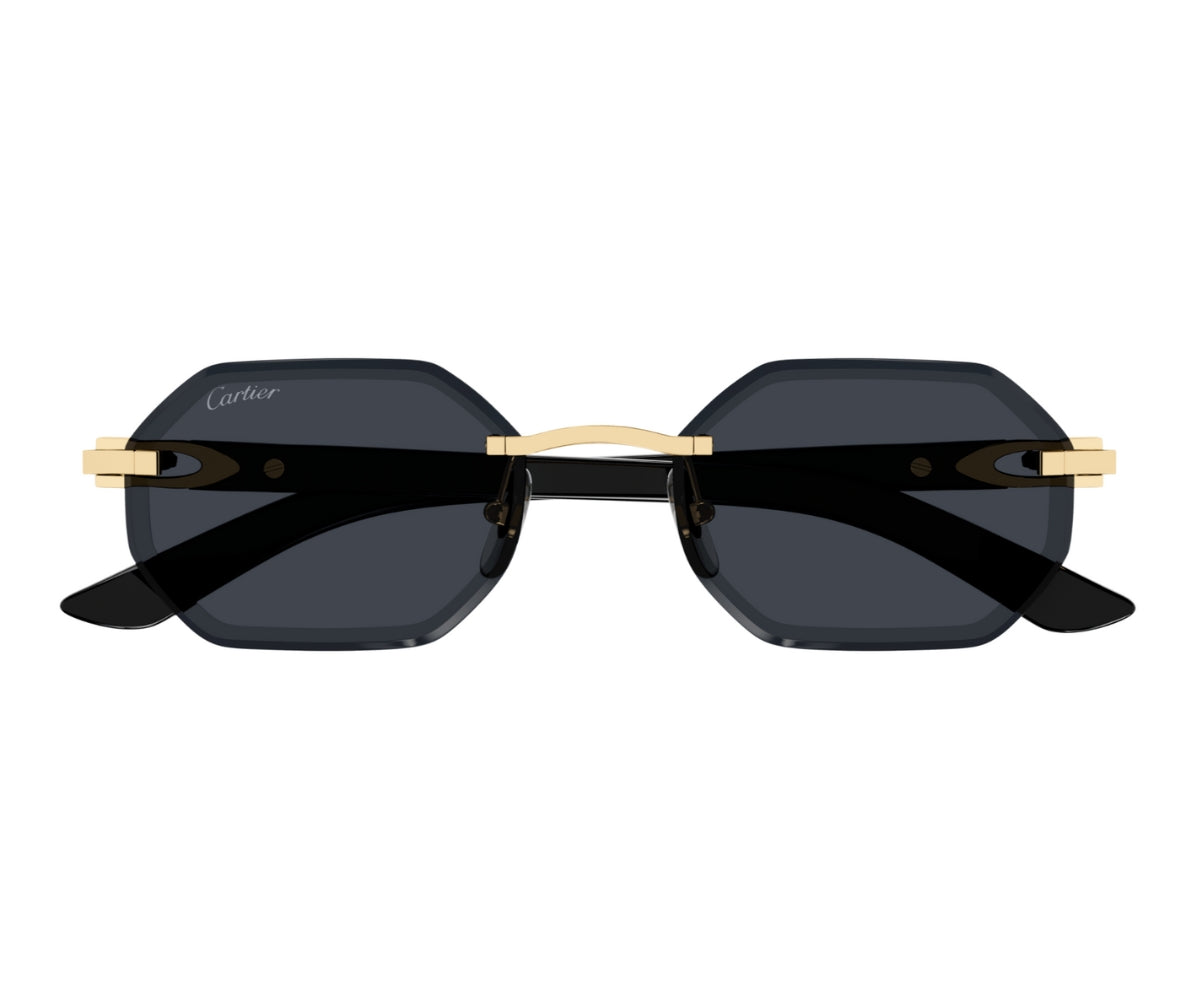 Cartier_Sunglasses_0439S_001_54_0
