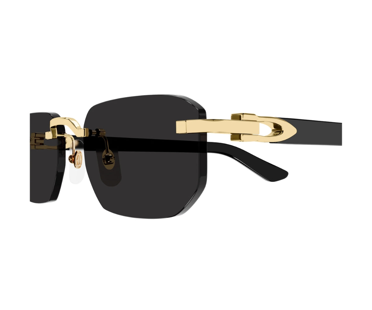 Cartier_Sunglasses_0622S_001_53_close up