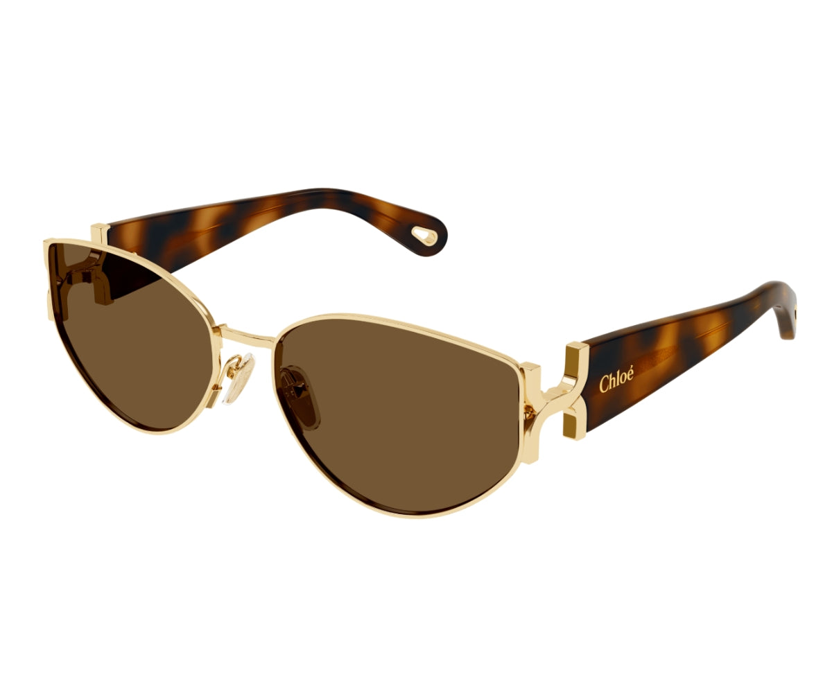 Chloe d frame acetate sunglasses deals