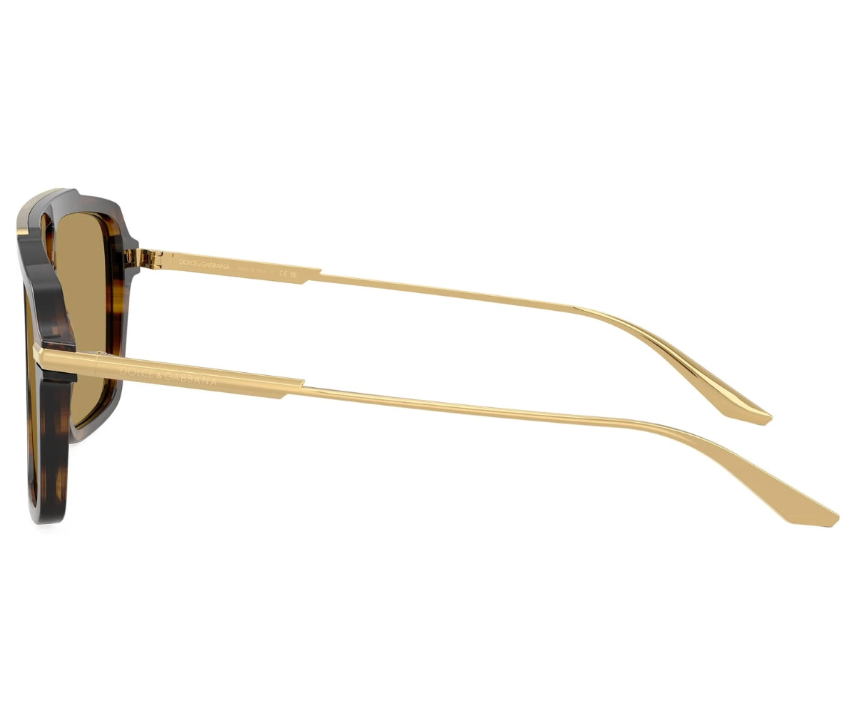 Dolce & Gabbana luxury sunglasses with gold arms and tortoiseshell frames, designer fashion eyewear