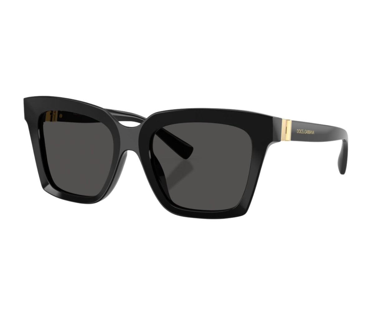 Buy Dolce & Gabbana Sunglasses 4498 501/87 55 | GEM OPTICIANS