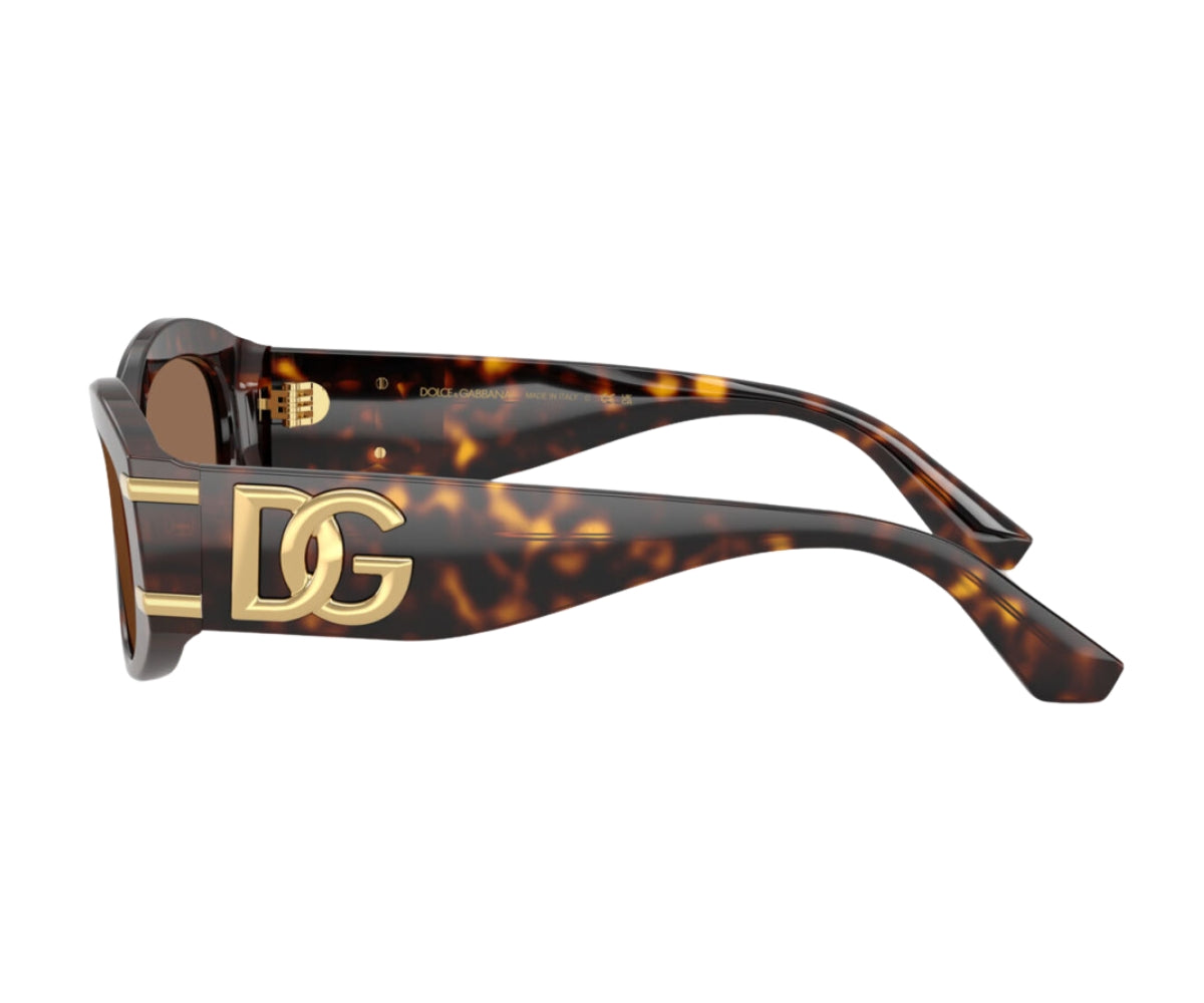 Dolce & Gabbana_Sunglasses_4502_502/73_55_90