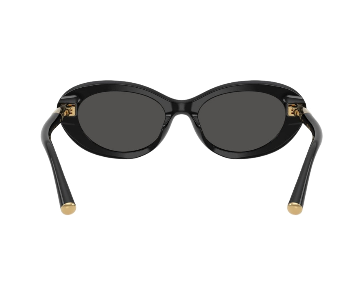 Dolce & Gabbana_Sunglasses_4519_501/87_54_back lens