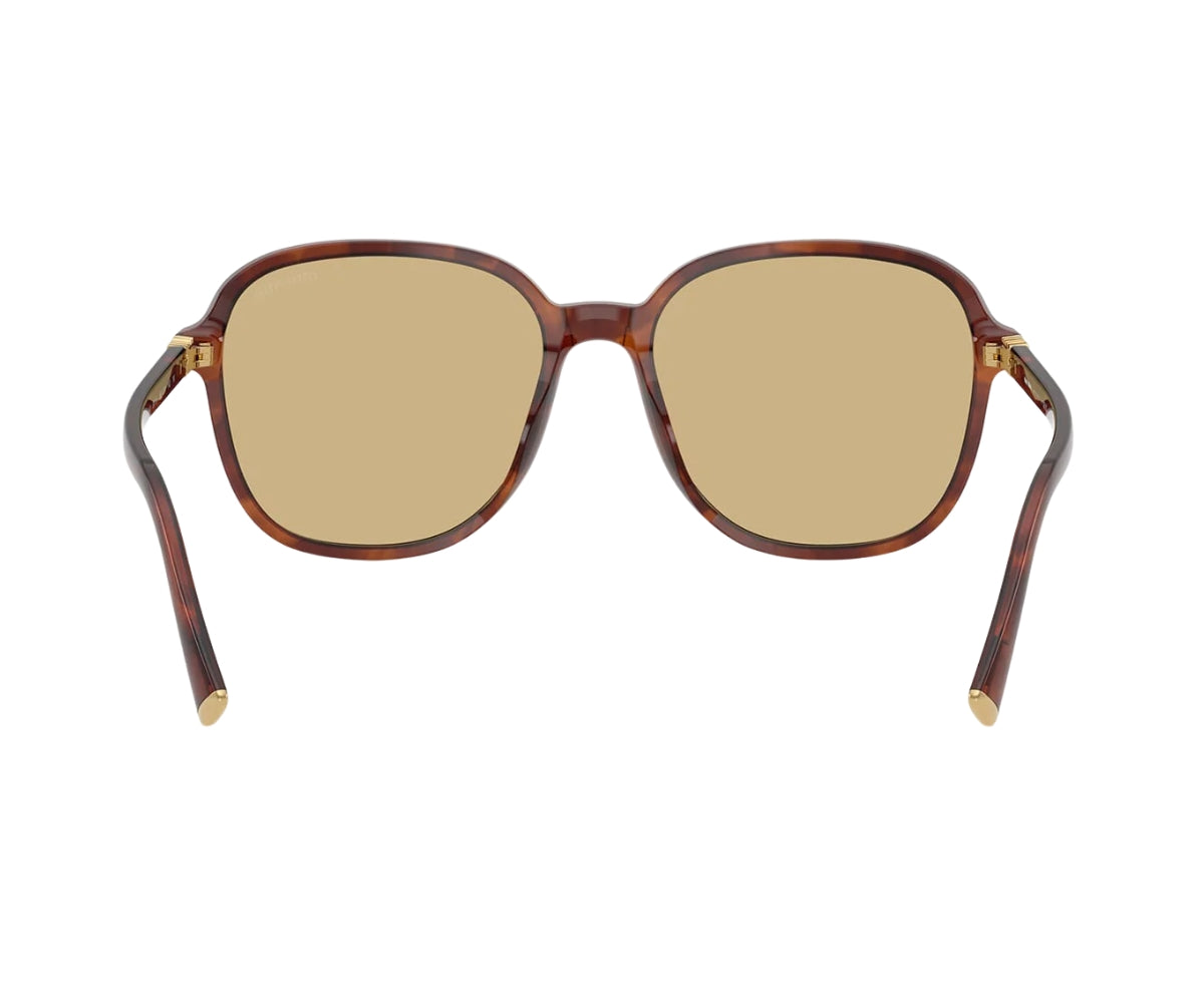 Miu Miu_Sunglasses_B01S_26E/10R_58_back lens