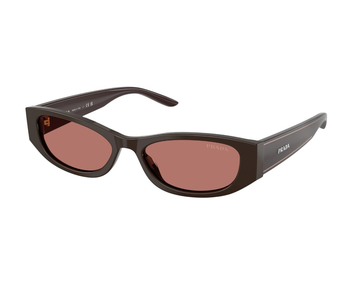 Prada_Sunglasses_PRD22S_27I/80W_54_3045