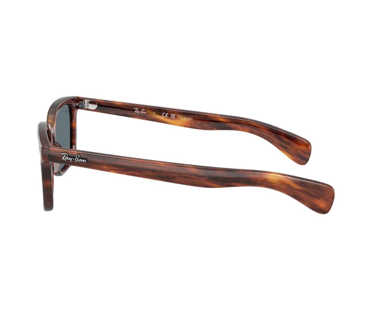 Rayban_Sunglasses_Brunel_2234_954/3R_56_90