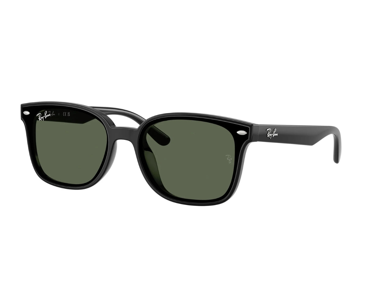 Rayban_Sunglasses_4461D_601/71_64_3045