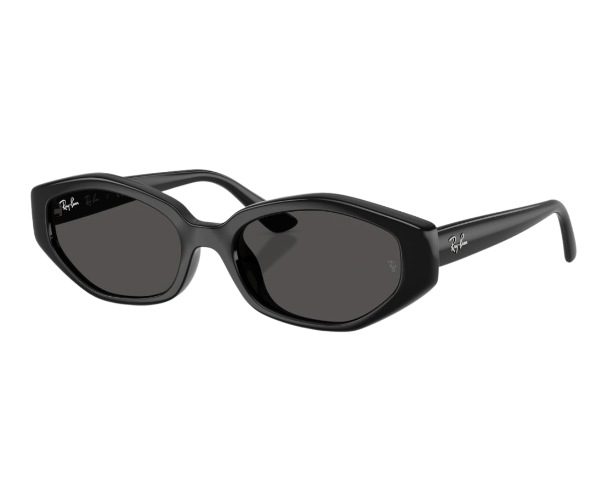 Rayban_Sunglasses_4473D_6677/87_56_3045