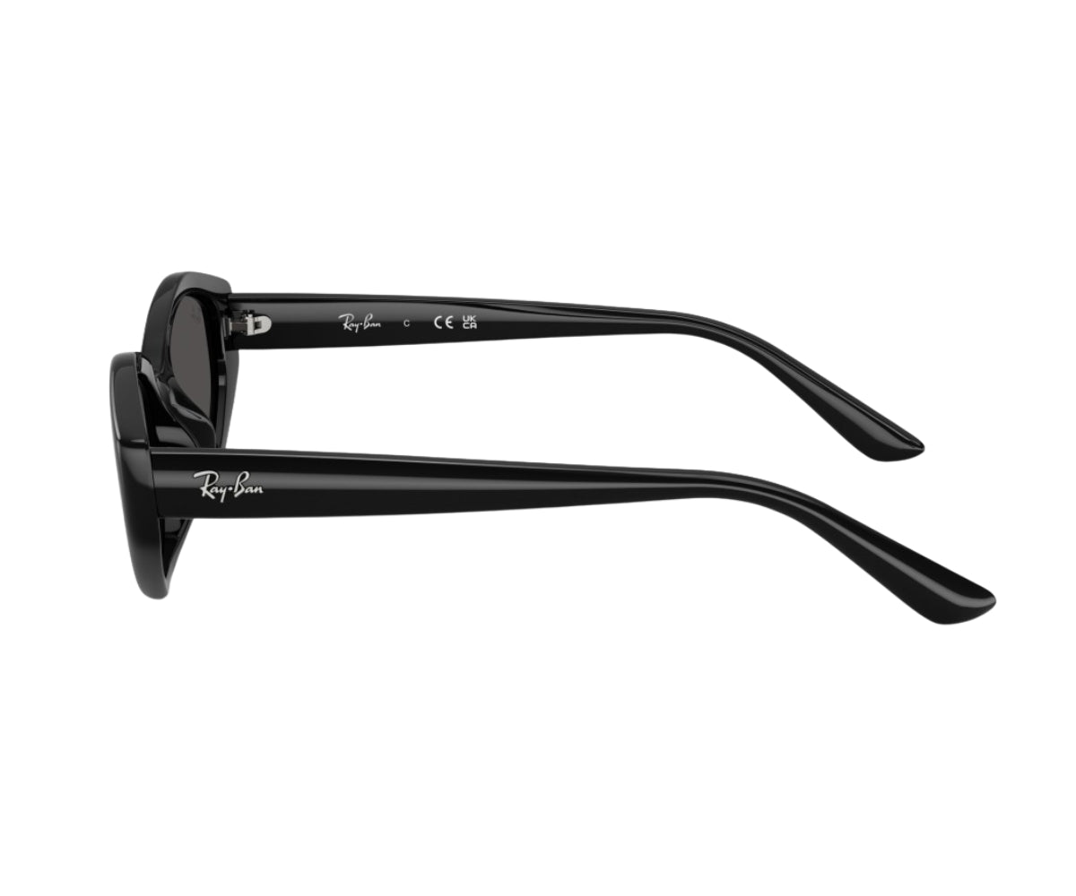 Rayban_Sunglasses_4473D_6677/87_56_90