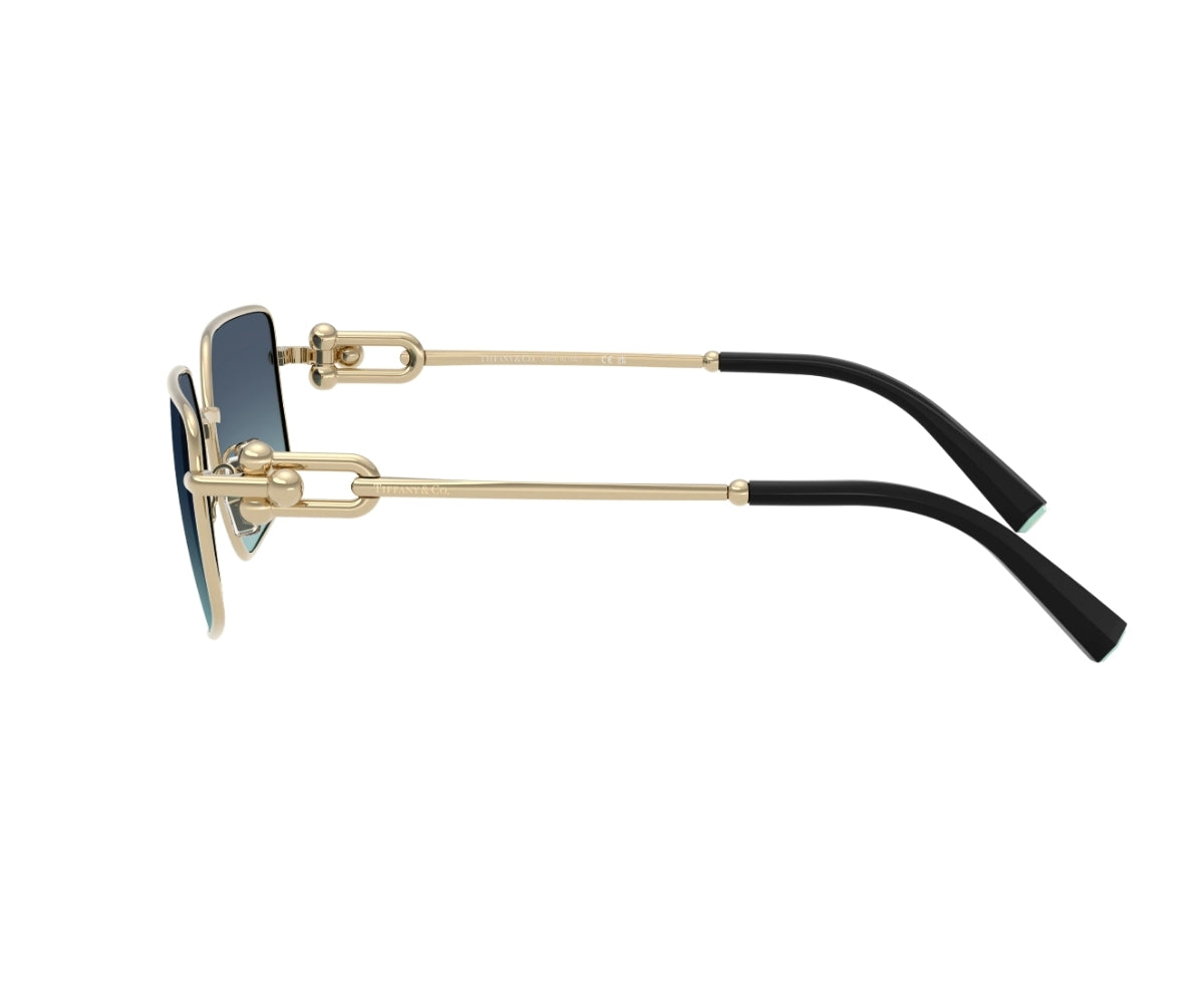 Tiffany & Co._Sunglasses_3111_6202/9S_58_90