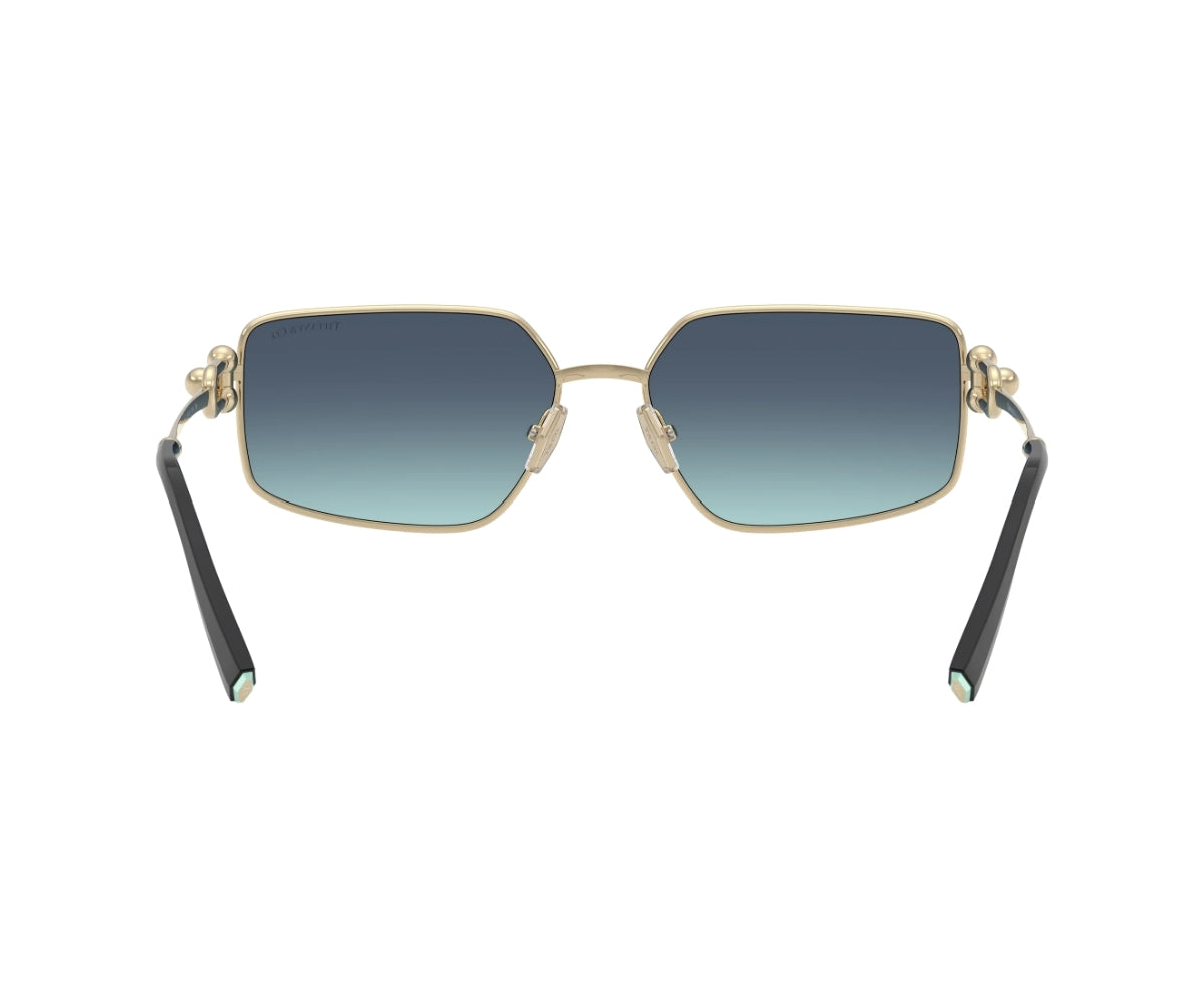 Tiffany & Co._Sunglasses_3111_6202/9S_58_backlens