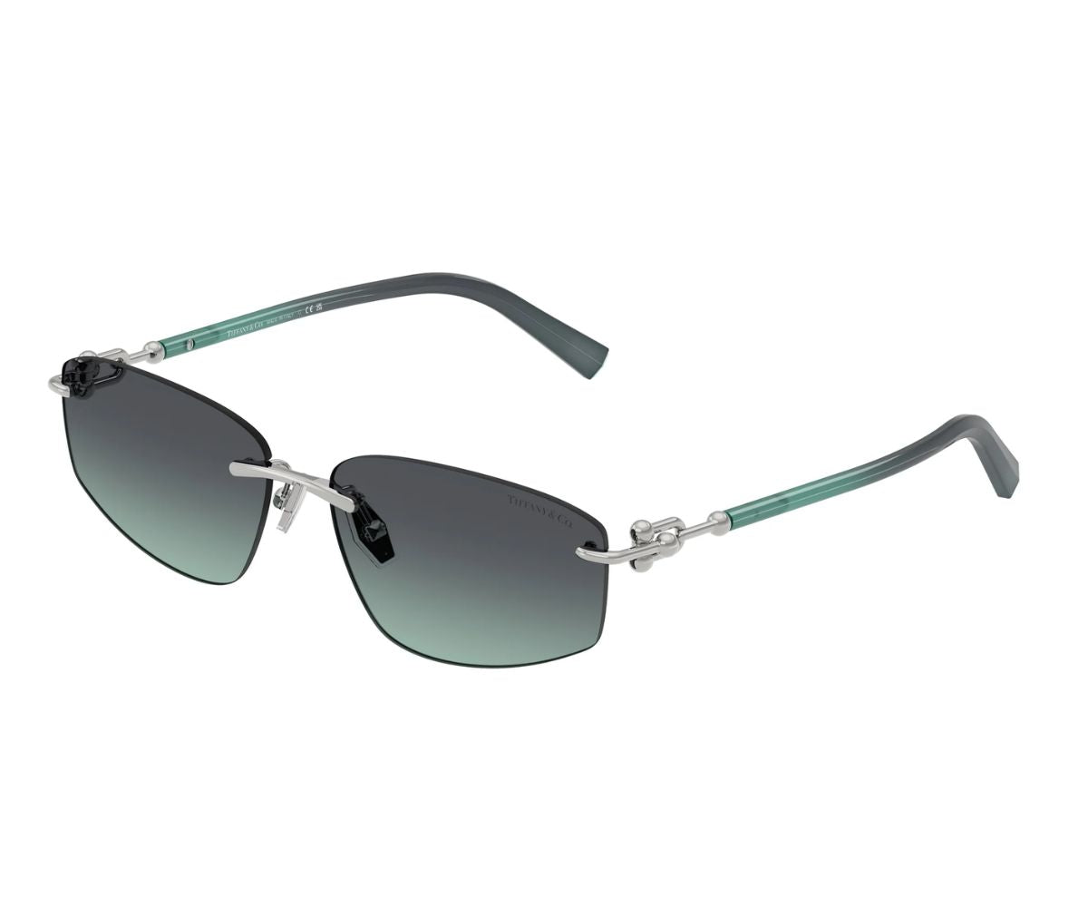 T F3082-6001/9S.58口16/140 Tiffany & Co. TF3082 L (58 - 16) with Brown lenses and Gold frame