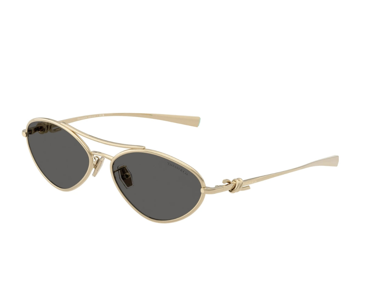 Tiffany & Co._Sunglasses_3117_6021/S4_58_3045