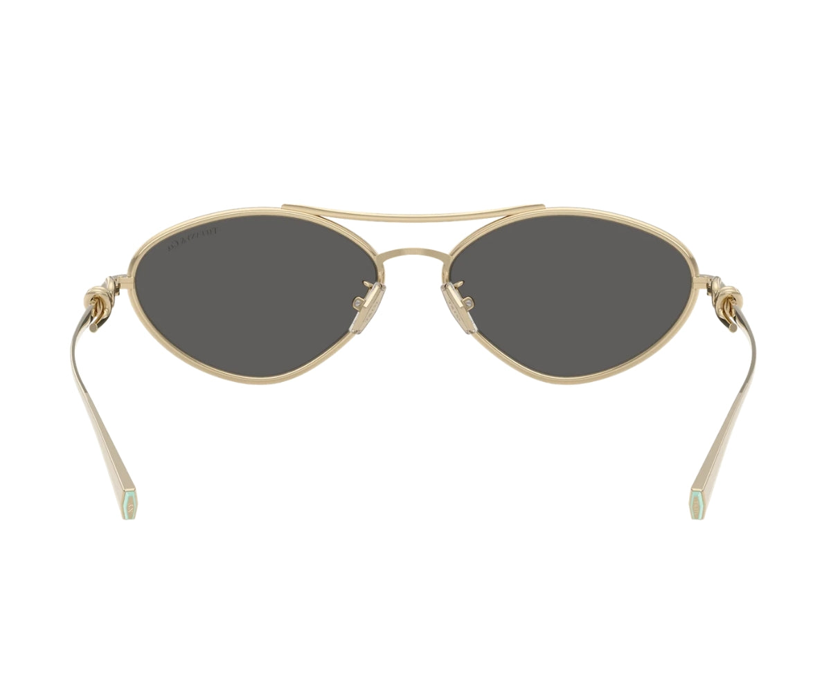 Tiffany & Co._Sunglasses_3117_6021/S4_58_back lens