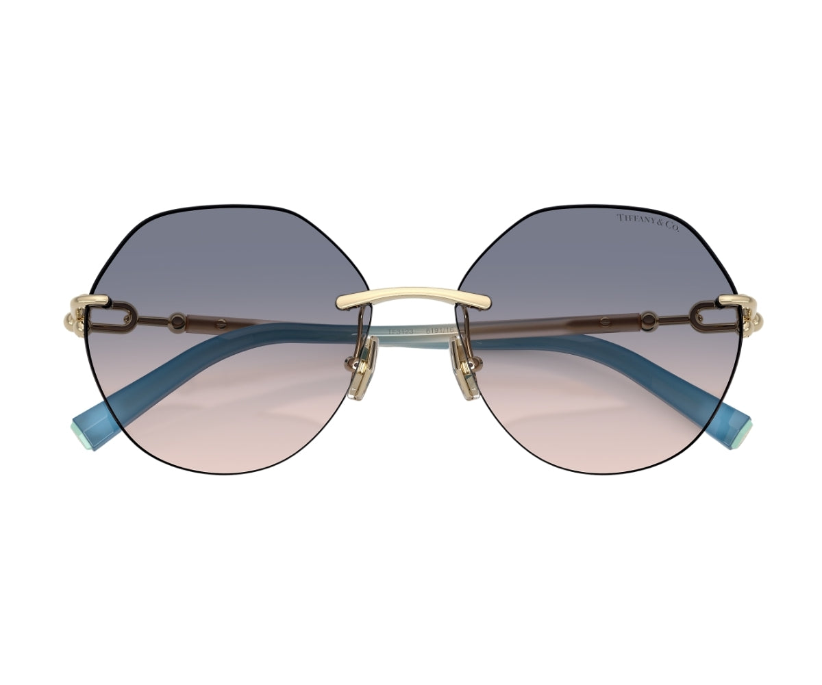 Tiffany & Co._Sunglasses_TF3123_6191/16_58_00