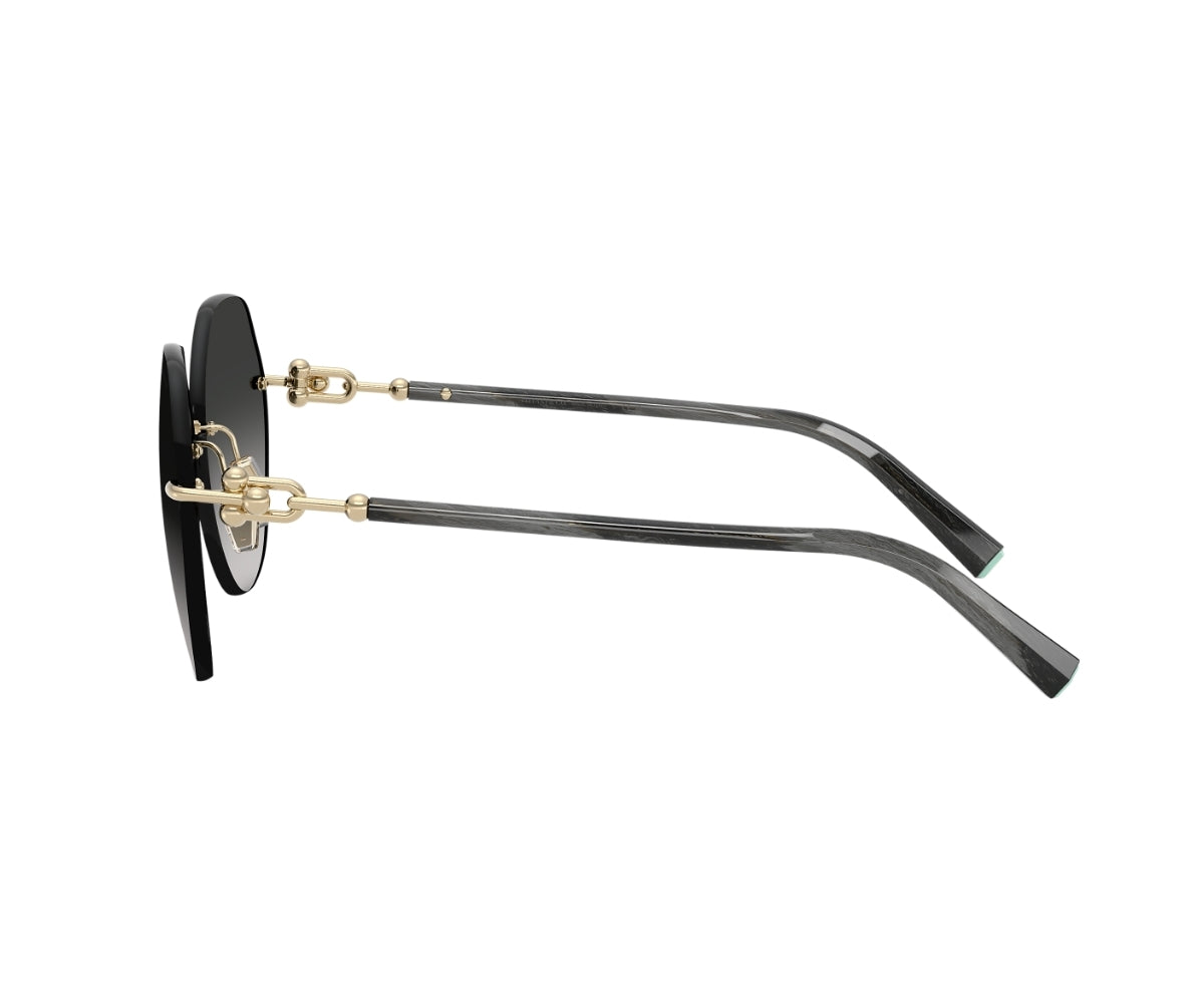 Tiffany & Co._Sunglasses_TF3123_6241/3C_58_90
