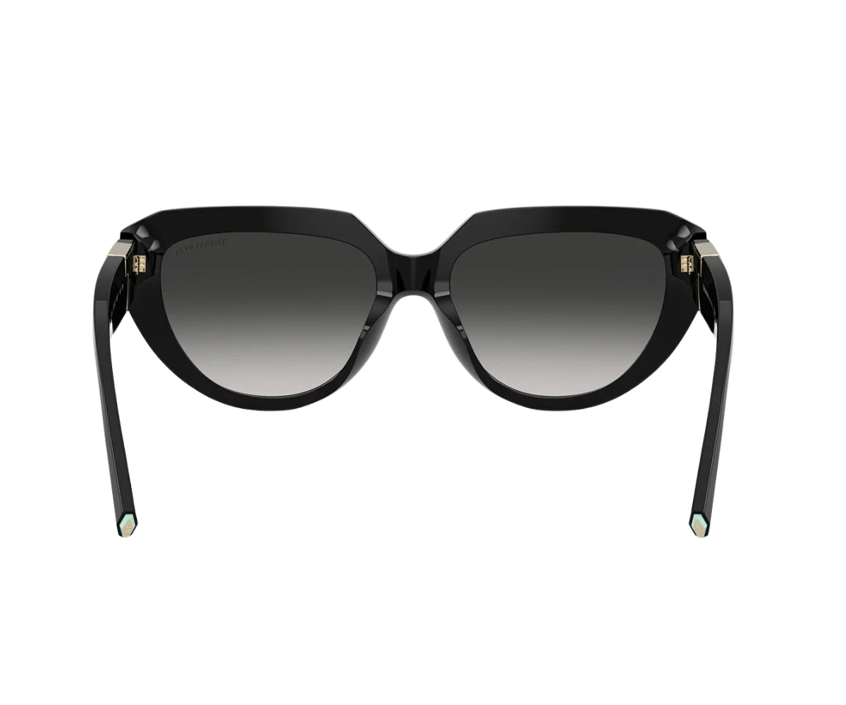 Tiffany & Co._Sunglasses_4238U_8001/3C_55_back lens