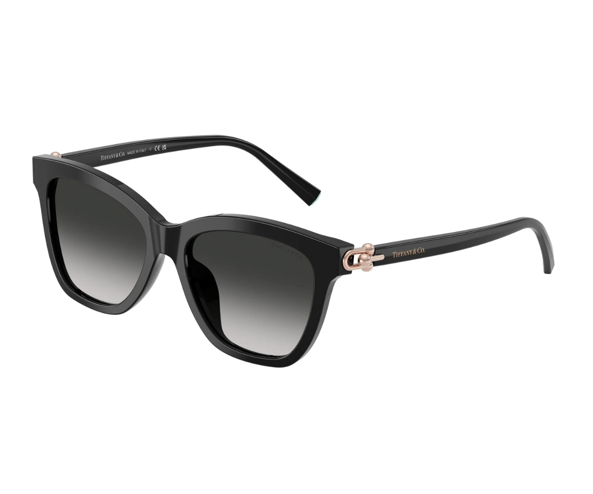 Tiffany & Co._Sunglasses_4241D_8001/3C_54_3045