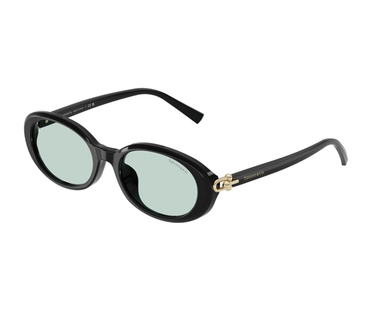 Buy Tiffany & Co. Sunglasses 4242D 8001/D9 54 | GEM OPTICIANS