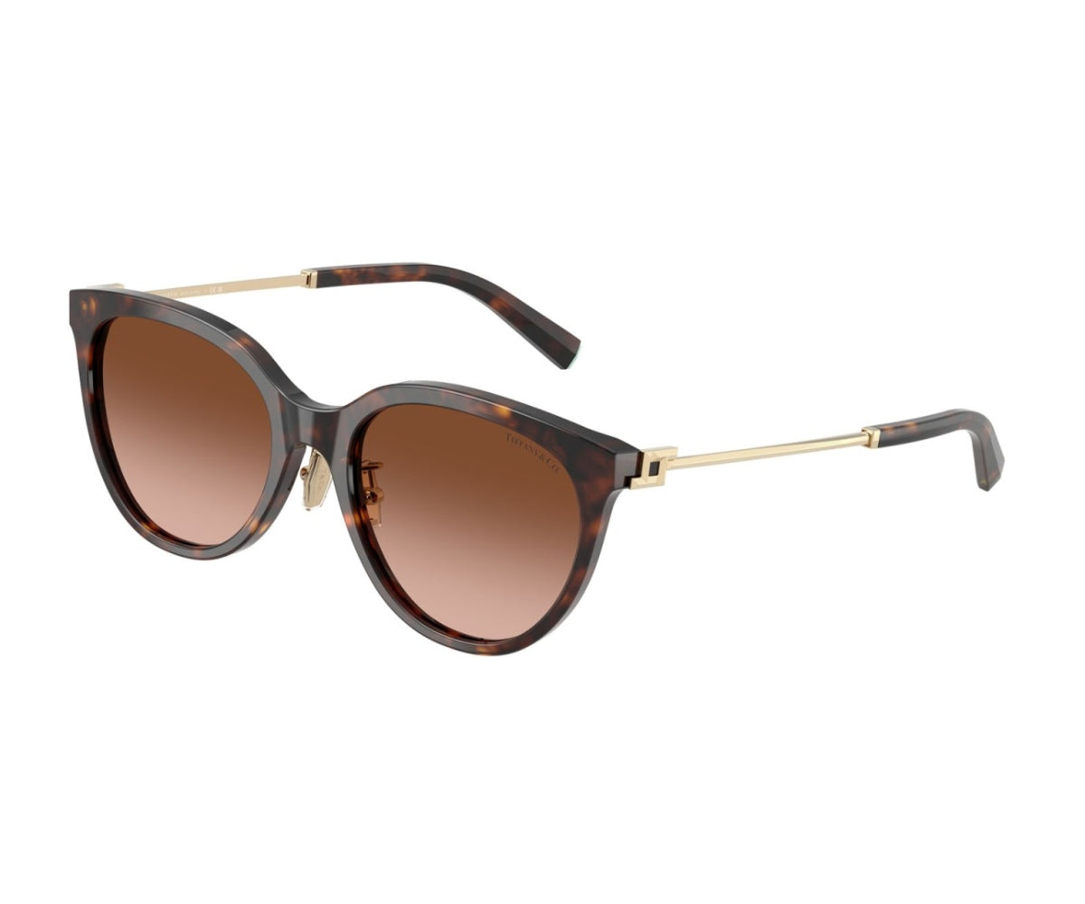 Buy Tiffany & Co. Sunglasses 4243D 8015/3B 55 | GEM 