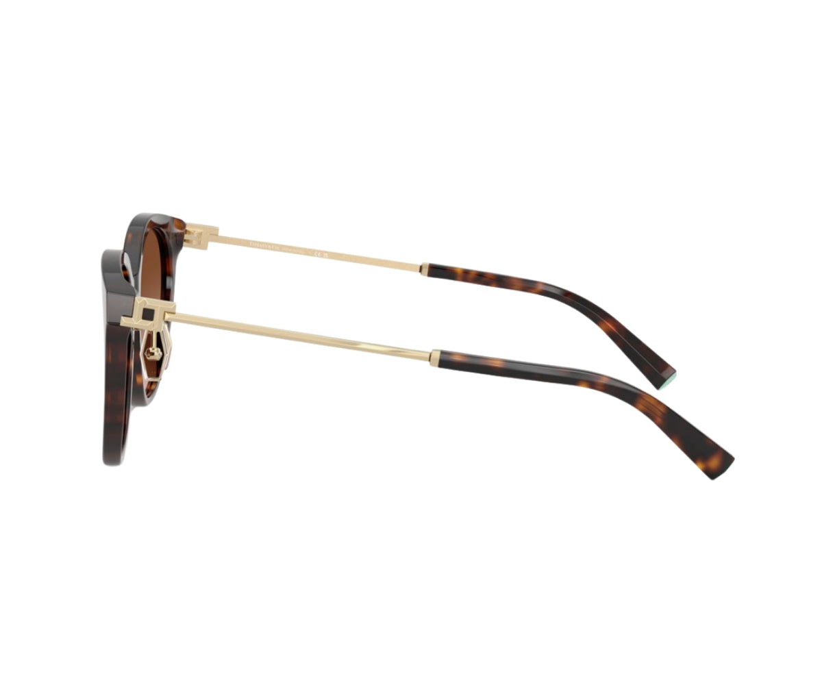 Tortoiseshell designer sunglasses with gold metal frame details, luxury style
