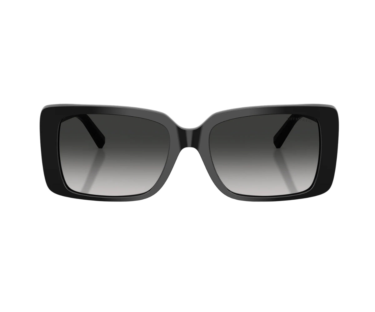 Tiffany & Co._Sunglasses_4249_8001/3C_55_00
