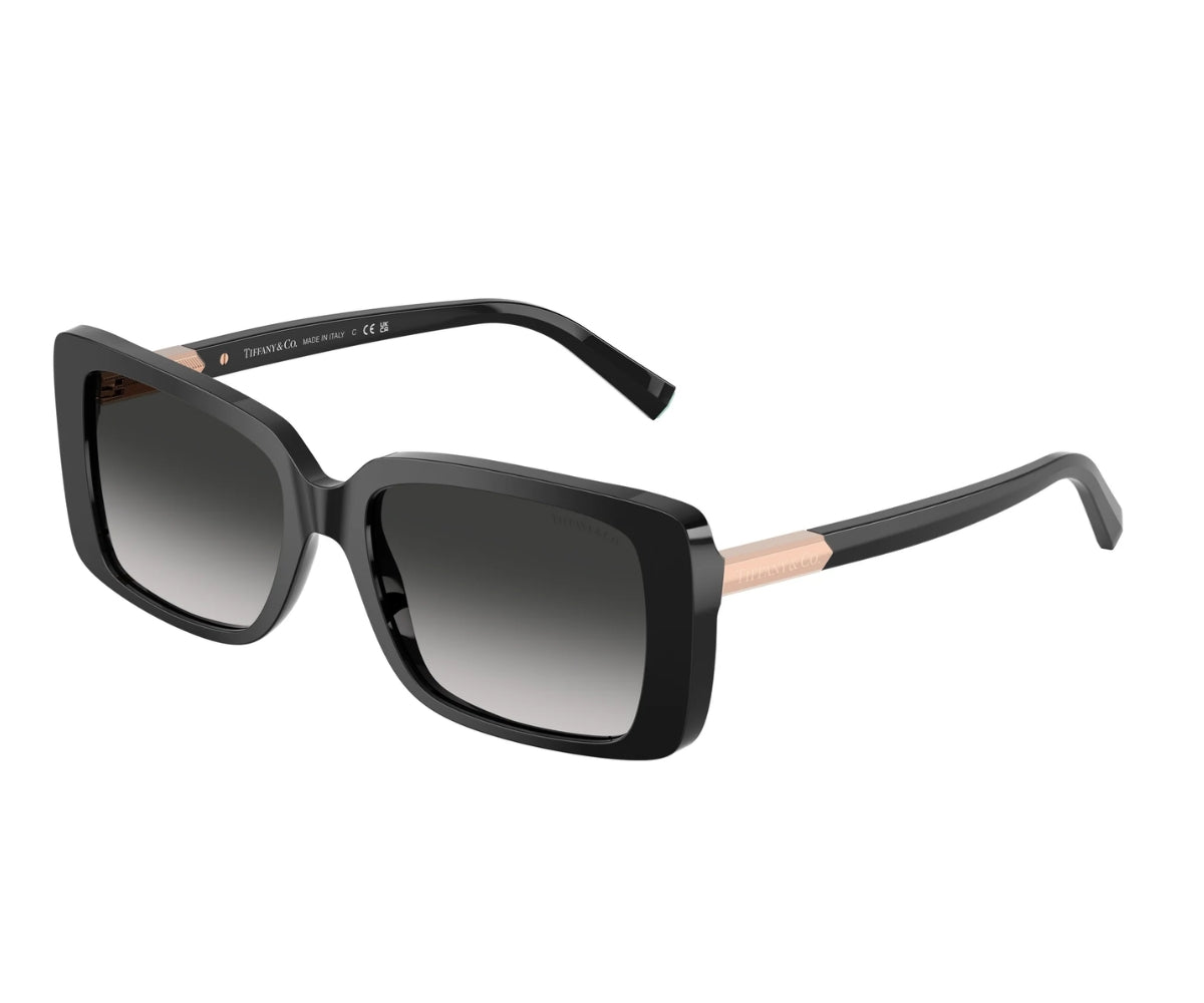 Tiffany & Co._Sunglasses_4249_8001/3C_55_3045
