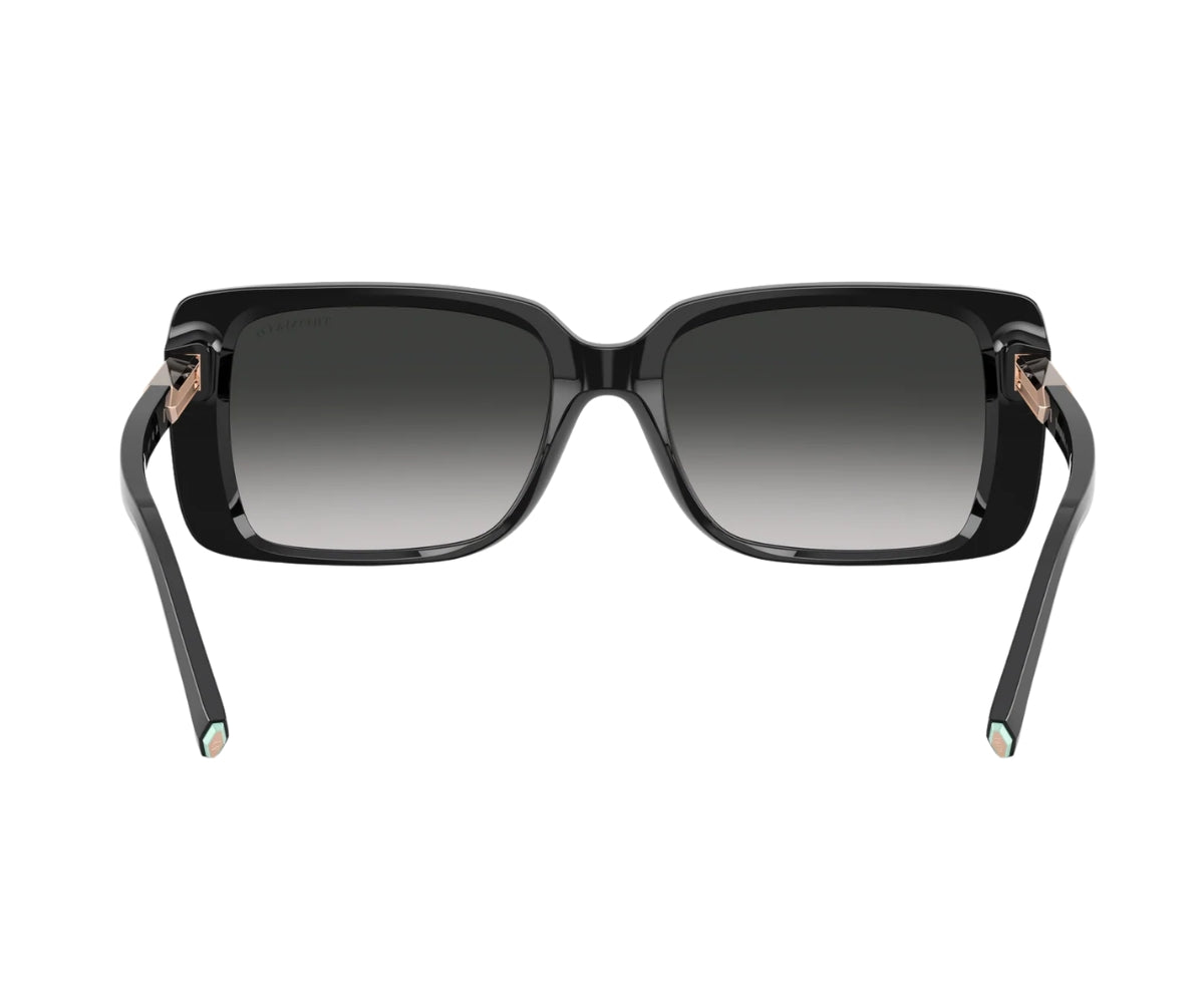 Tiffany & Co._Sunglasses_4249_8001/3C_55_back