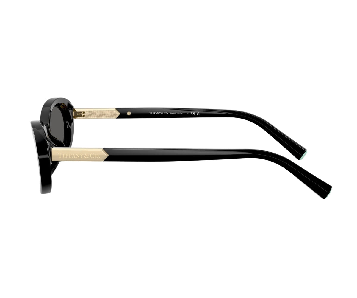 Tiffany & Co._Sunglasses_4250_8001/S4_56_90