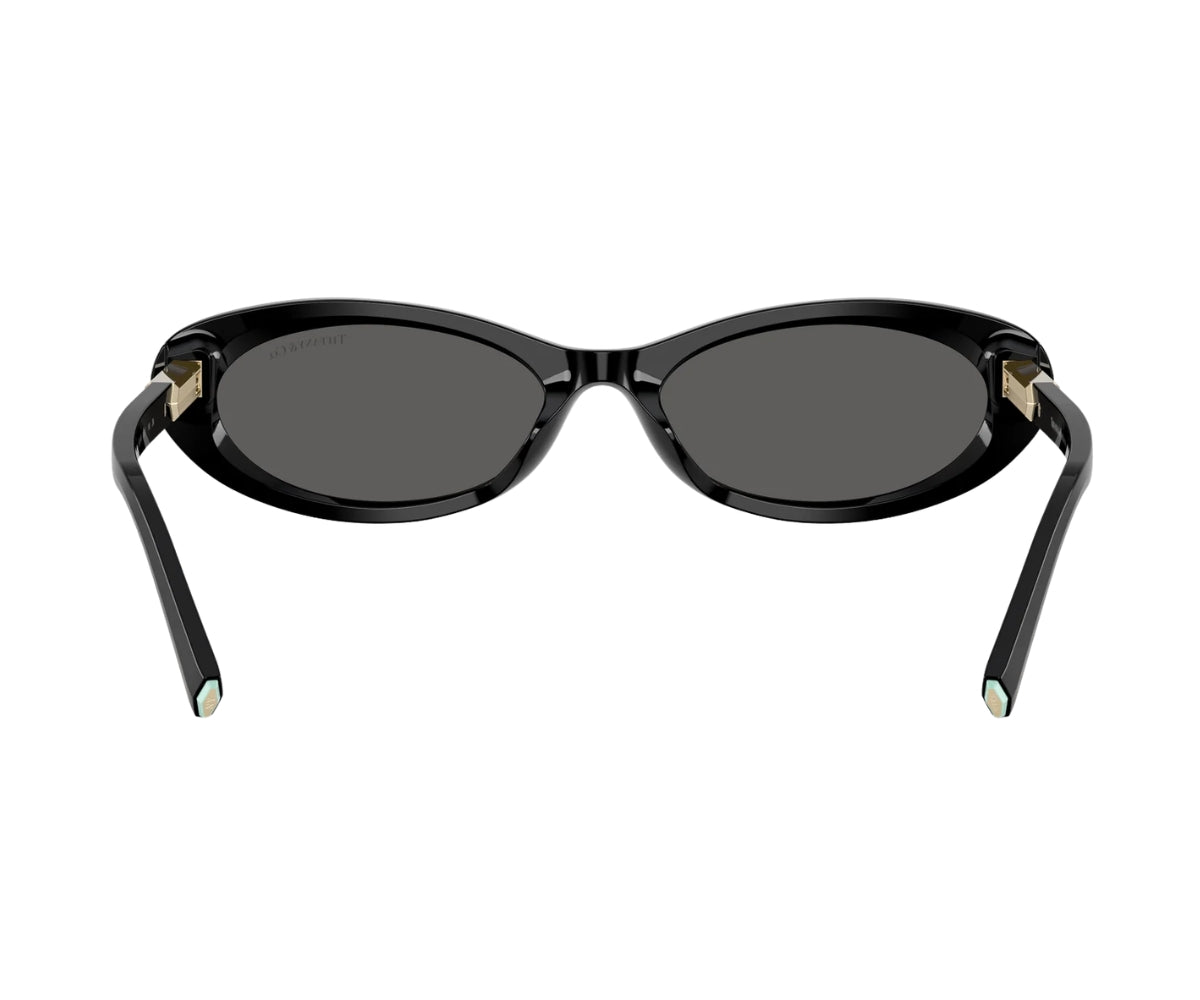 Tiffany & Co._Sunglasses_4250_8001/S4_56_back