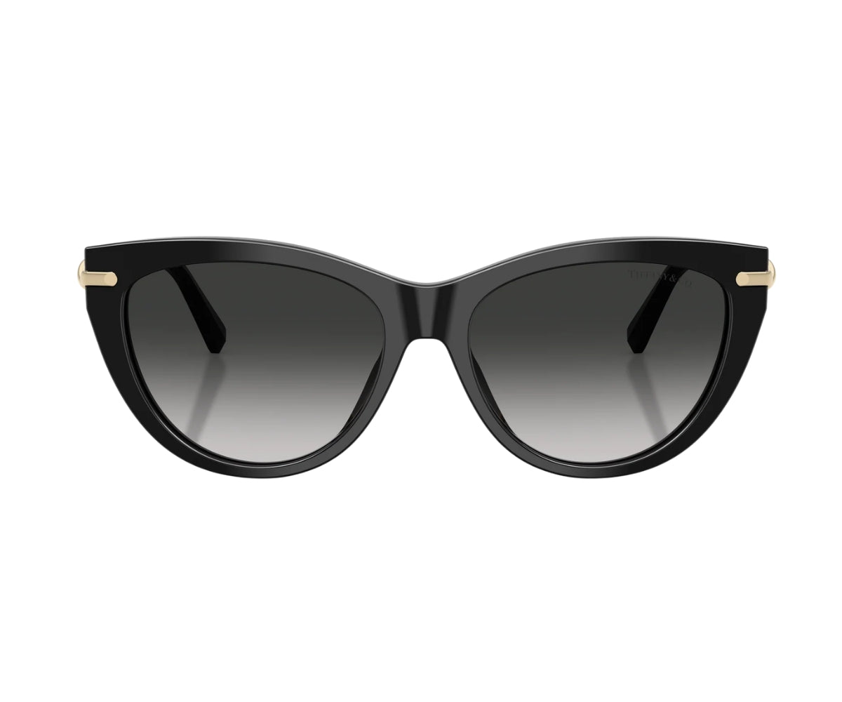 Tiffany & Co._Sunglasses_4253_8001/3C_55_0