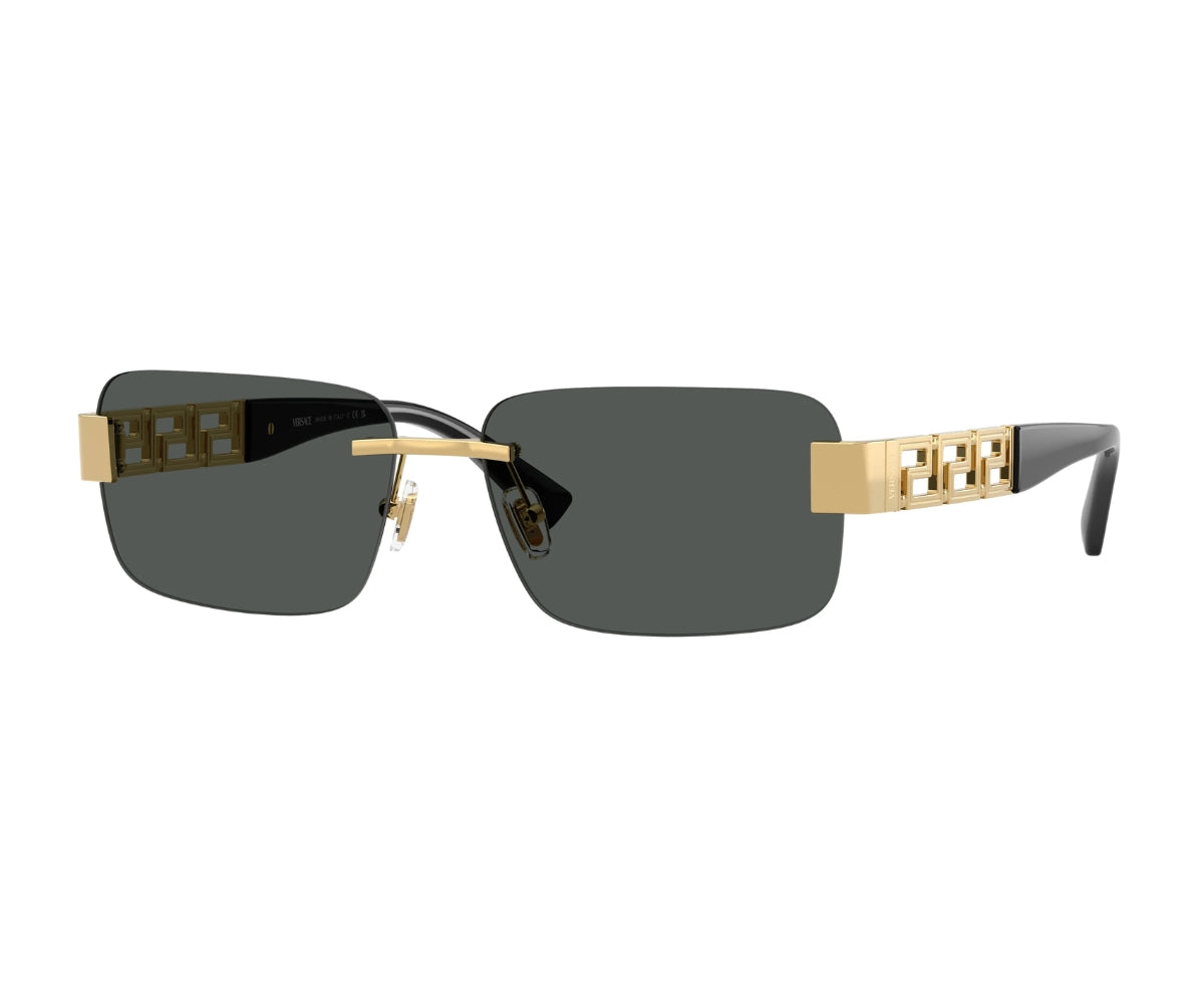 Versace_Sunglasses_2298_1002/87_58_45