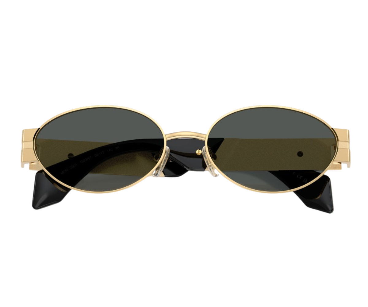 Versace_Sunglasses_VE2301_1523/82_55_0