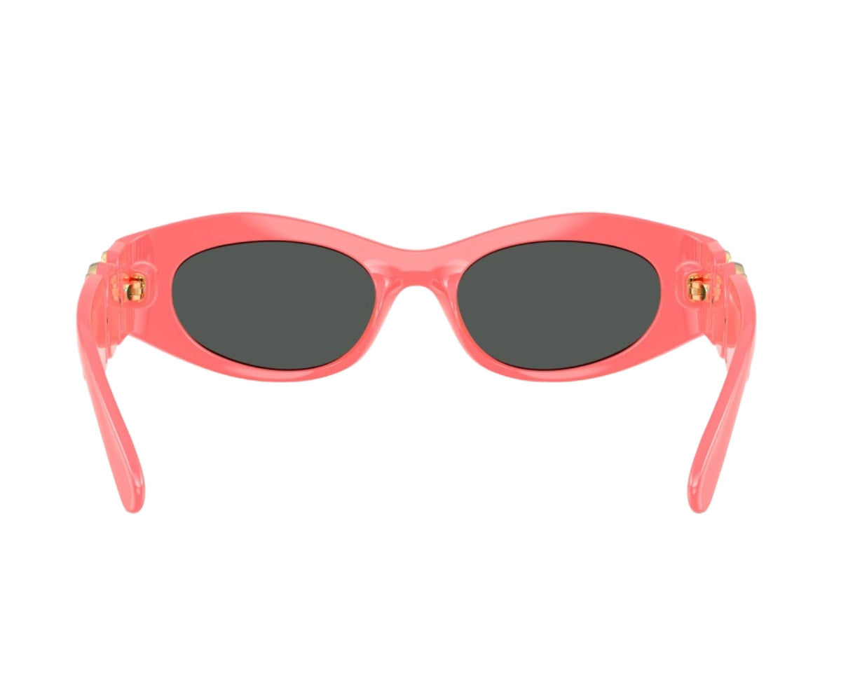 Versace_Sunglasses_4480U_5531/87_51_back lens
