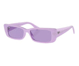 Rayban TERU 4425 6758/1A 54
