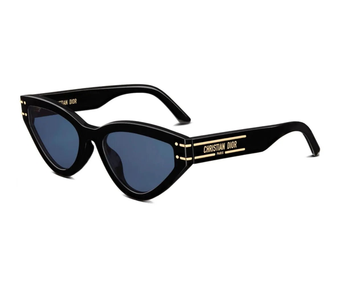 Dior paris sunglasses on sale