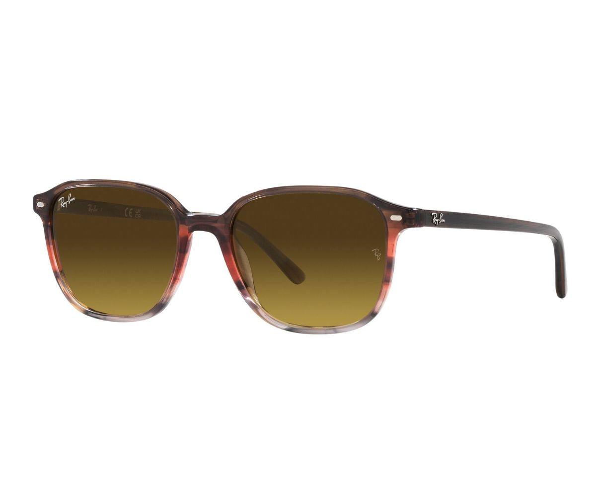 Buy Rayban Sunglasses Leonard 2193 1380/85 53 | GEM OPTICIANS